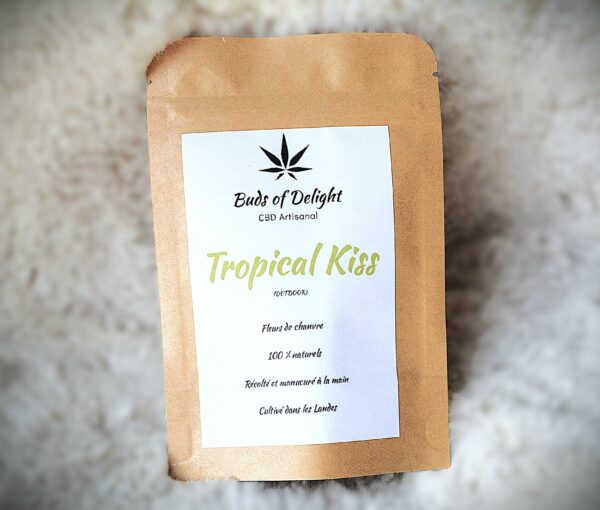 Tropical Kiss CBD – Le Goût des Tropiques
