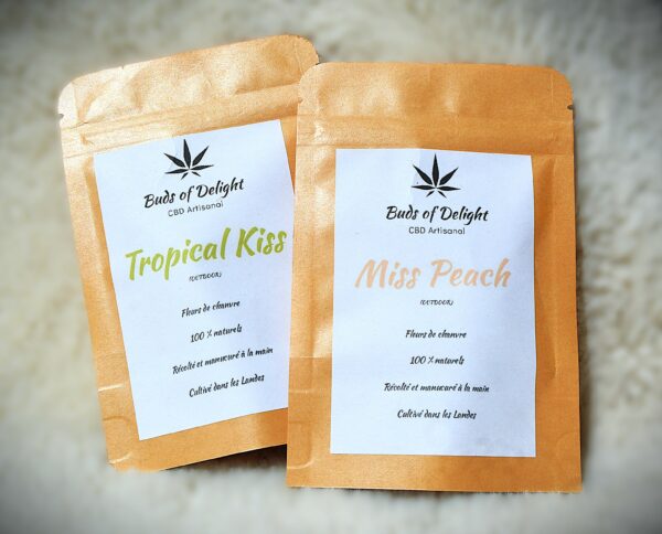 Pack Fruité – Miss Peach & Tropical Kiss CBD